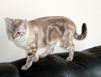 cal0507.jpg