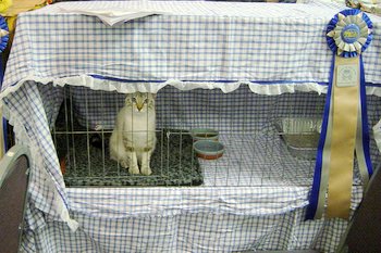 dsc01530.jpg
